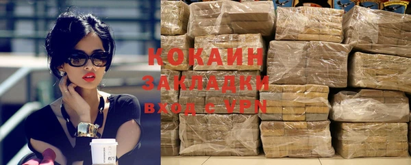 прущие грибы Касимов