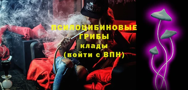 МДПВ Белокуриха