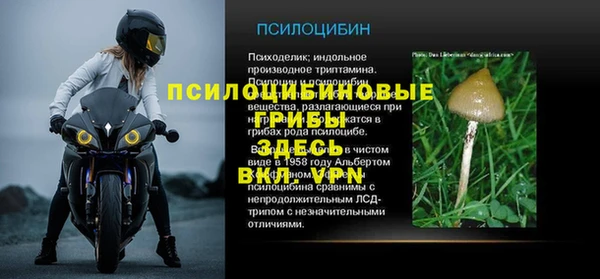 МДПВ Белокуриха