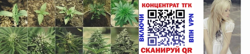 Дистиллят ТГК Wax купить наркоту Бодайбо