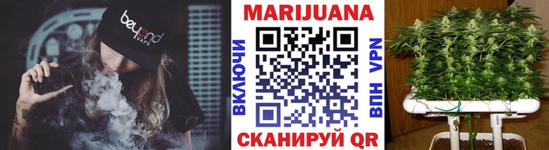 Конопля сатива  кракен зеркало  Бодайбо 